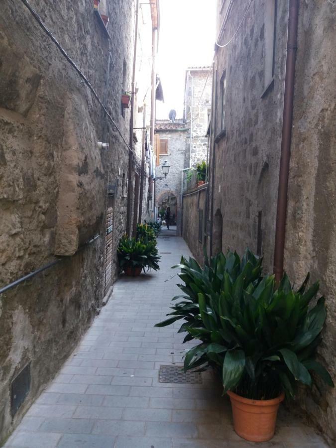 La Piazzetta Lejlighed Bolsena Eksteriør billede
